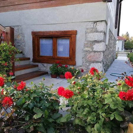 Dana Apartmani Колашин Экстерьер фото