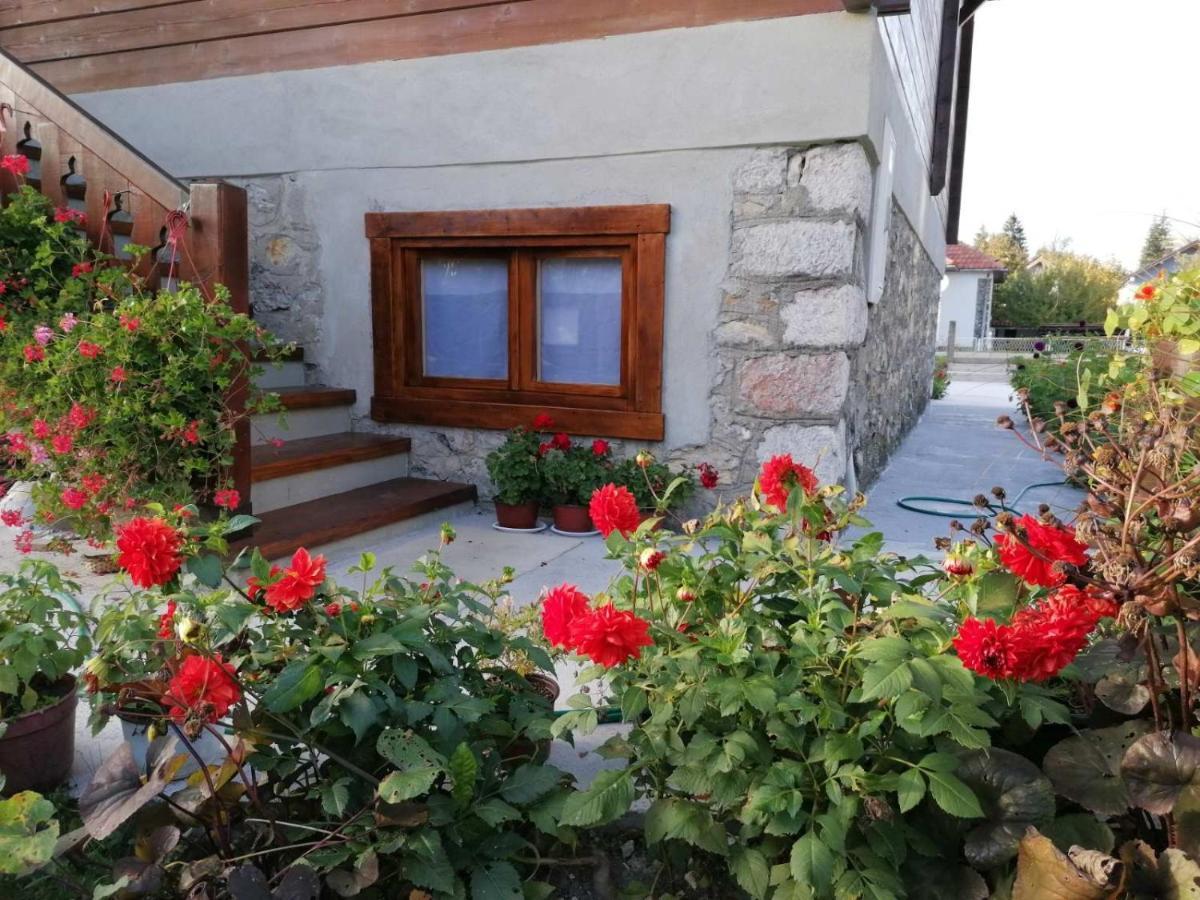 Dana Apartmani Колашин Экстерьер фото